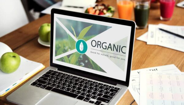 Impulsionar o tráfego orgânico através do marketing digital