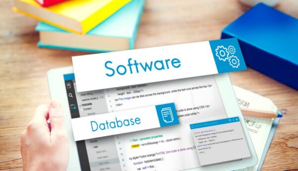 Palavras-chave de cauda longa: a estratégia precisa para alcançar seu público